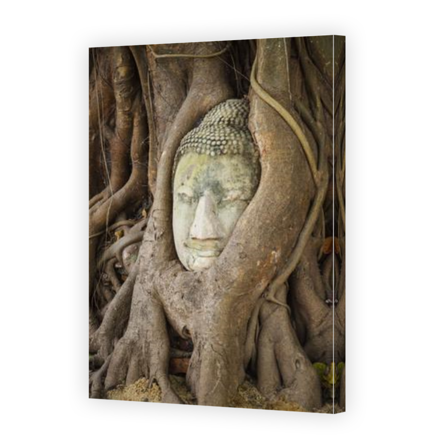 Thumbnail for Canvas - Mirror Image Canvas Wrap