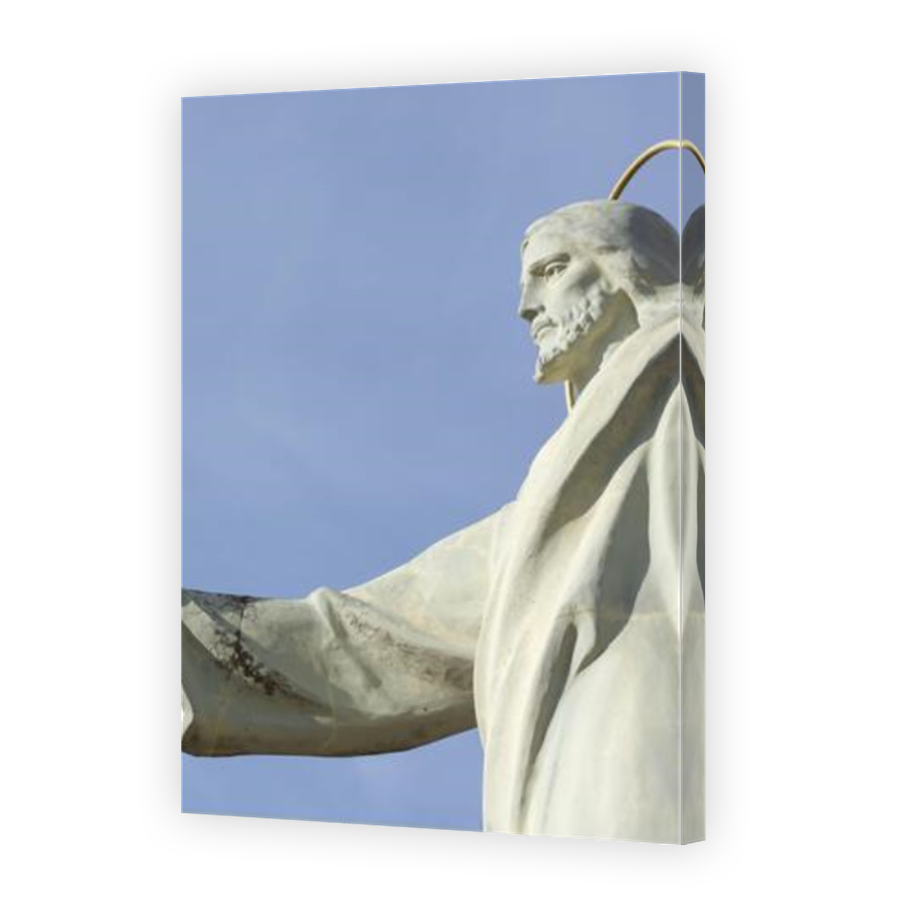 Thumbnail for Canvas - Mirror Image Canvas Wrap