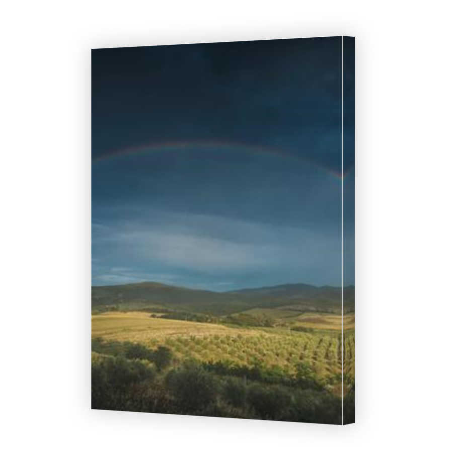 Thumbnail for Canvas - Mirror Image Canvas Wrap
