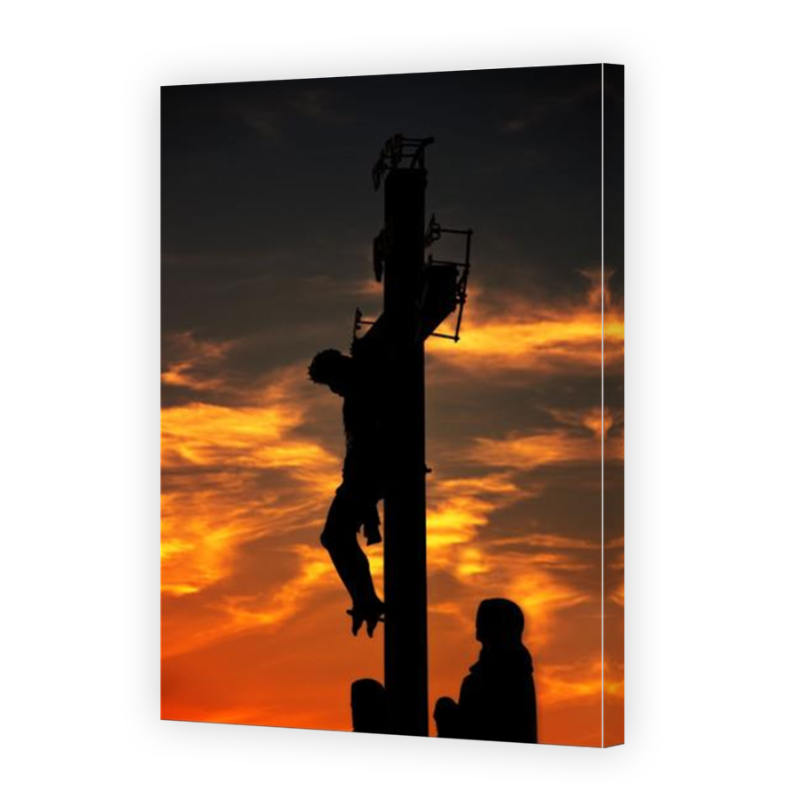 Thumbnail for Canvas - Mirror Image Canvas Wrap
