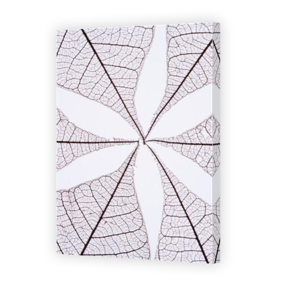 Thumbnail for Canvas - Mirror Image Canvas Wrap