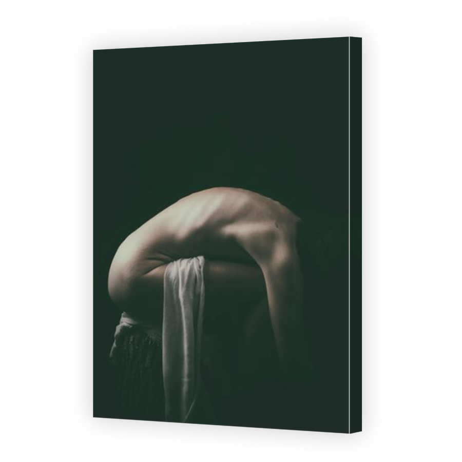 Thumbnail for Canvas - Mirror Image Canvas Wrap