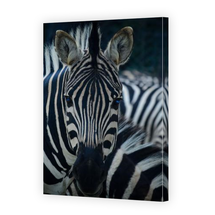 Thumbnail for Canvas - Mirror Image Canvas Wrap