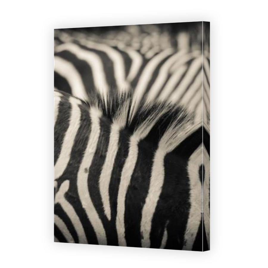 Thumbnail for Canvas - Mirror Image Canvas Wrap