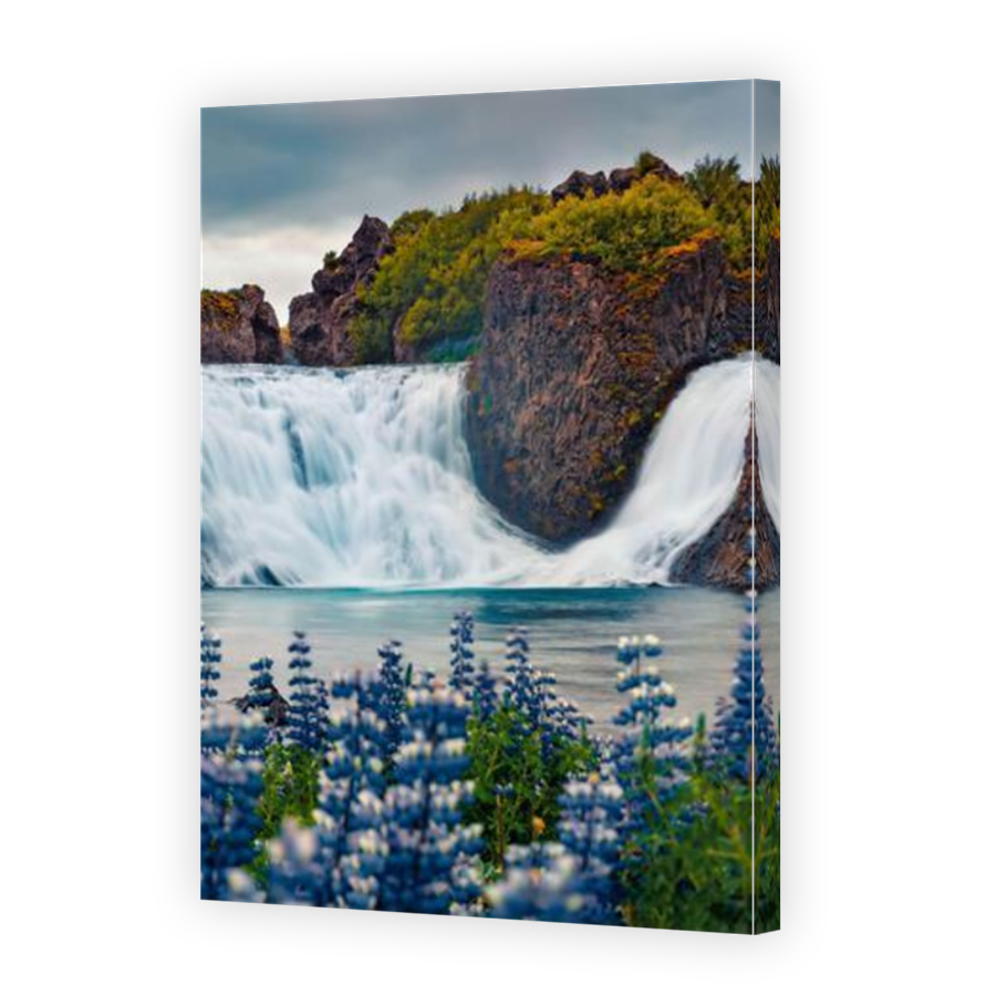 Thumbnail for Canvas - Mirror Image Canvas Wrap