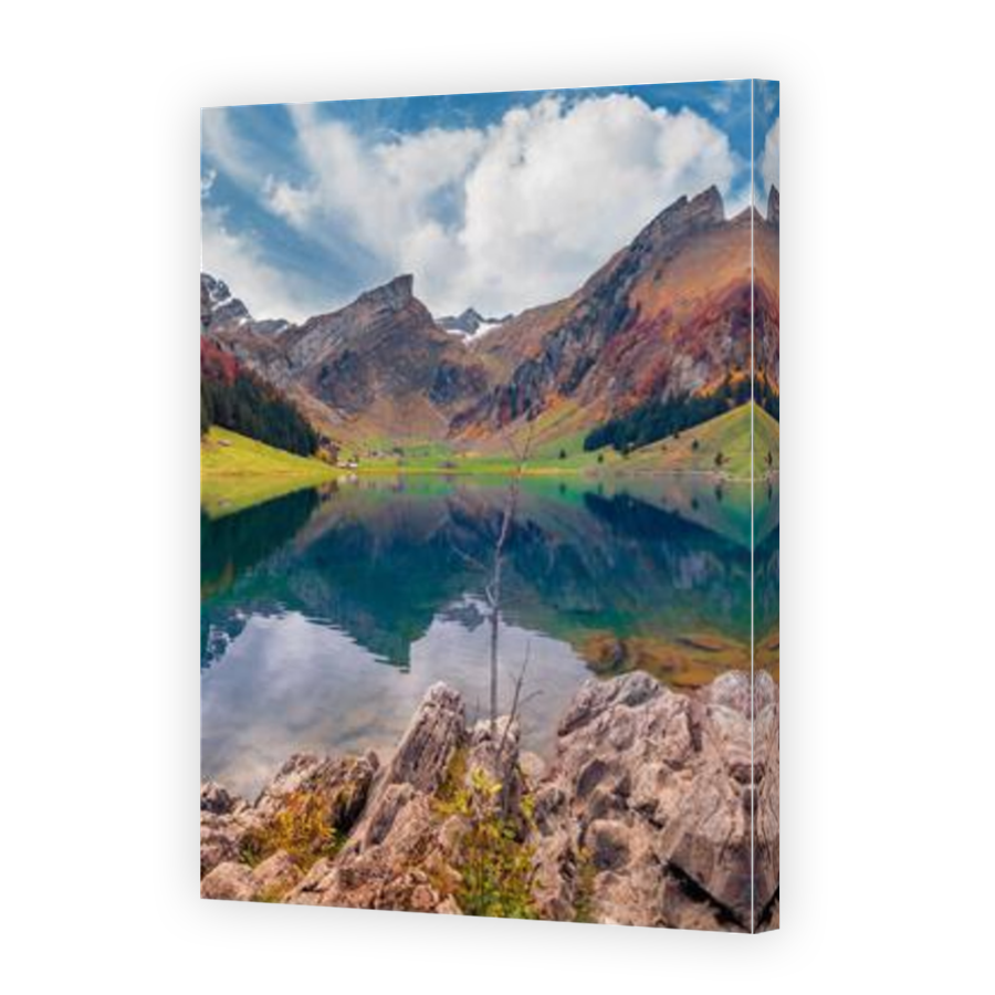 Thumbnail for Canvas - Mirror Image Canvas Wrap