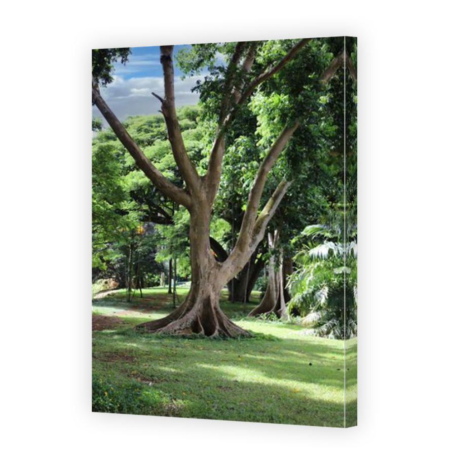 Thumbnail for Canvas - Mirror Image Canvas Wrap