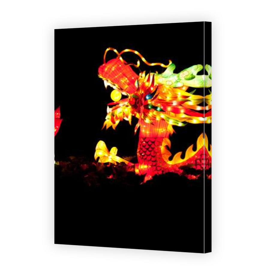 Thumbnail for Canvas - Mirror Image Canvas Wrap