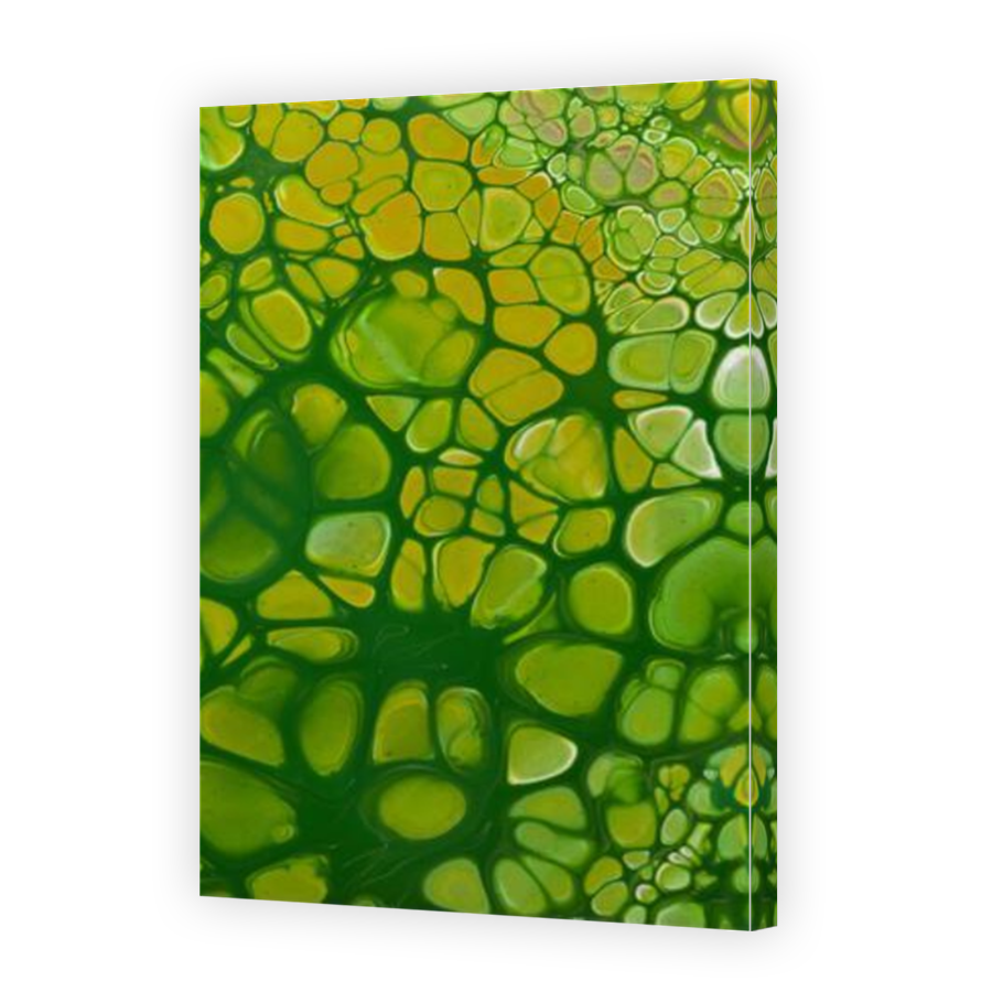 Thumbnail for Canvas - Mirror Image Canvas Wrap