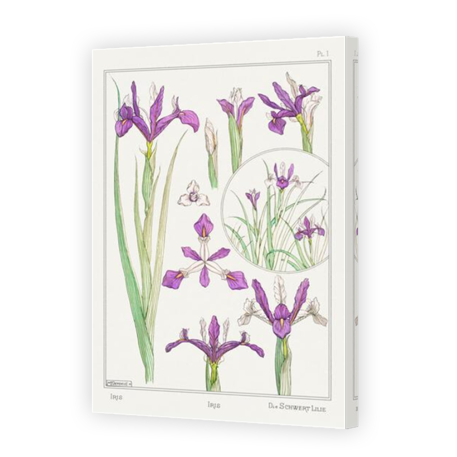 Thumbnail for Canvas - Mirror Image Canvas Wrap