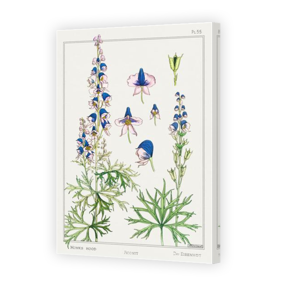Thumbnail for Canvas - Mirror Image Canvas Wrap