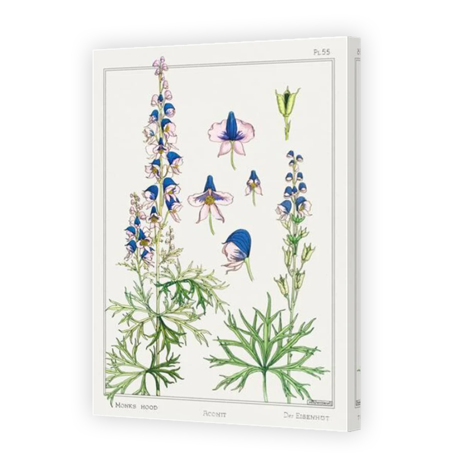Thumbnail for Canvas - Mirror Image Canvas Wrap