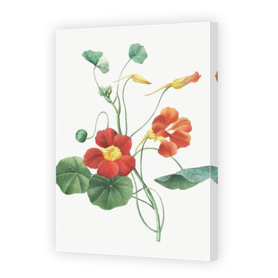 Thumbnail for Canvas - Mirror Image Canvas Wrap