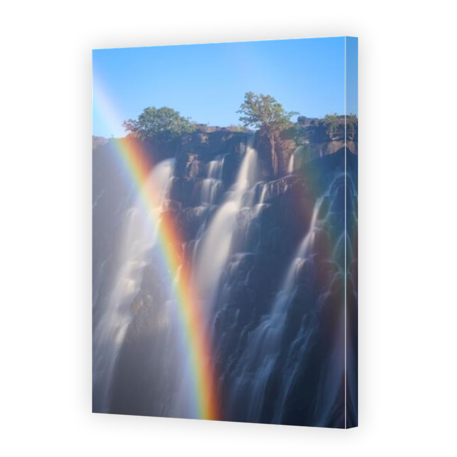 Thumbnail for Canvas - Mirror Image Canvas Wrap