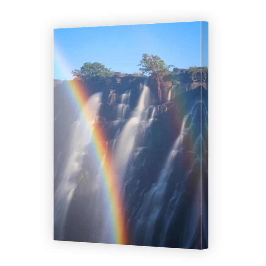 Thumbnail for Canvas - Mirror Image Canvas Wrap