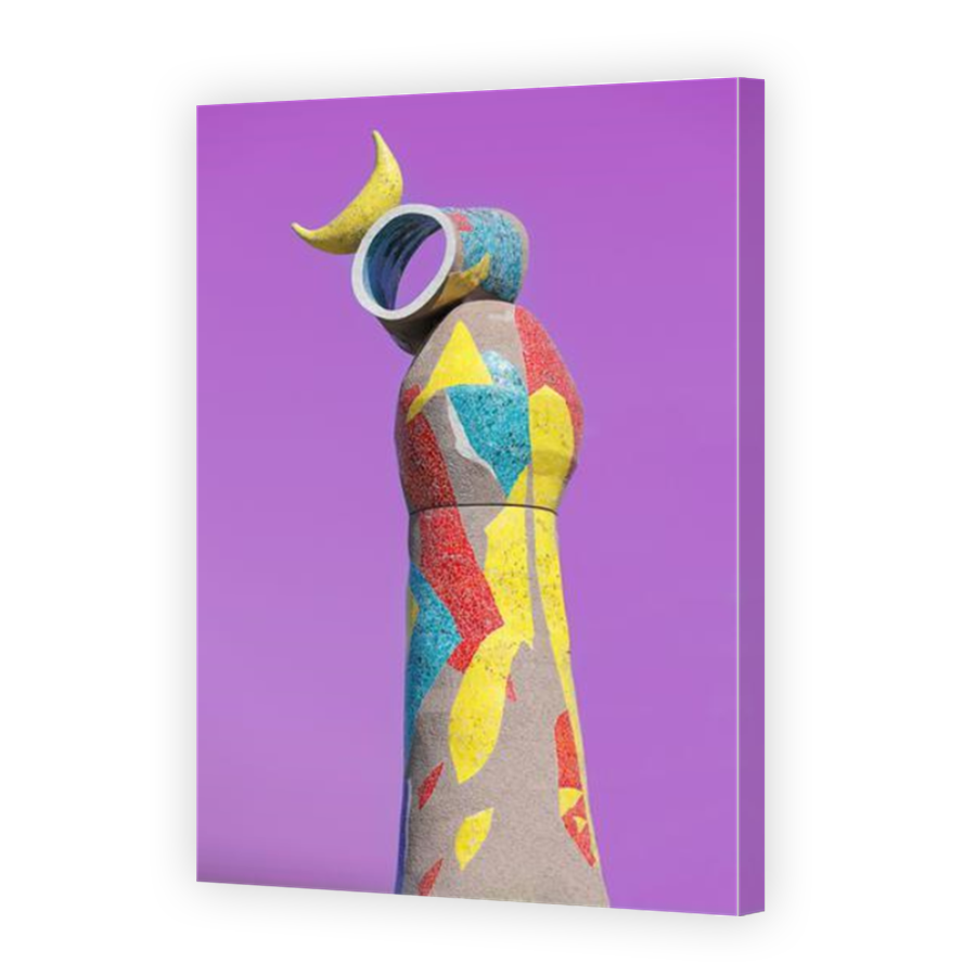Thumbnail for Canvas - Mirror Image Canvas Wrap
