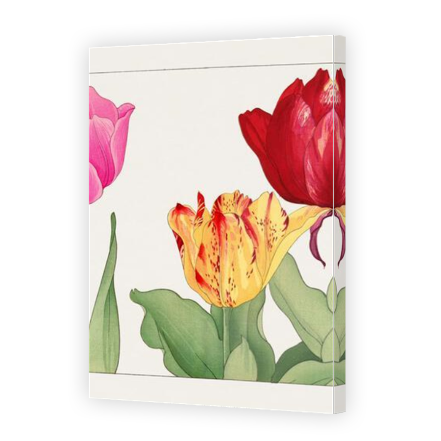 Thumbnail for Canvas - Mirror Image Canvas Wrap