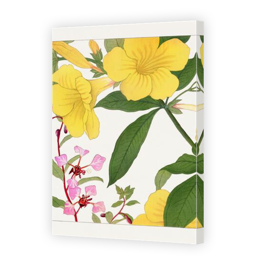 Thumbnail for Canvas - Mirror Image Canvas Wrap