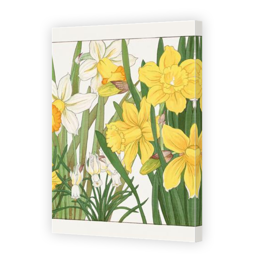 Thumbnail for Canvas - Mirror Image Canvas Wrap