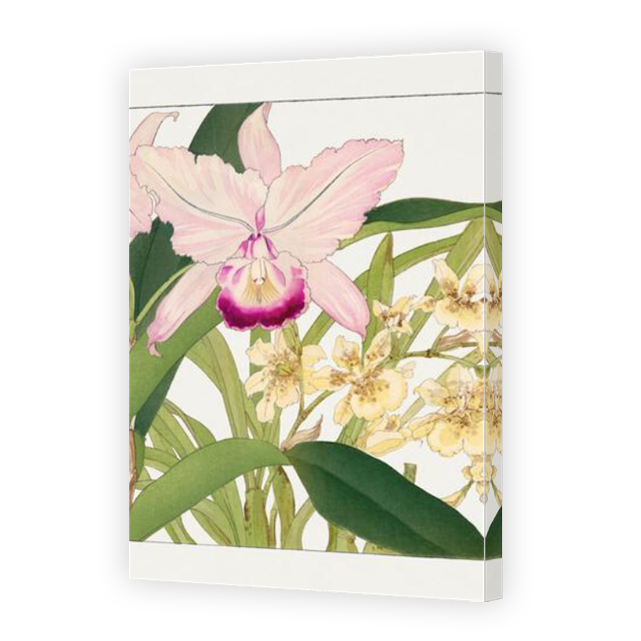 Thumbnail for Canvas - Mirror Image Canvas Wrap