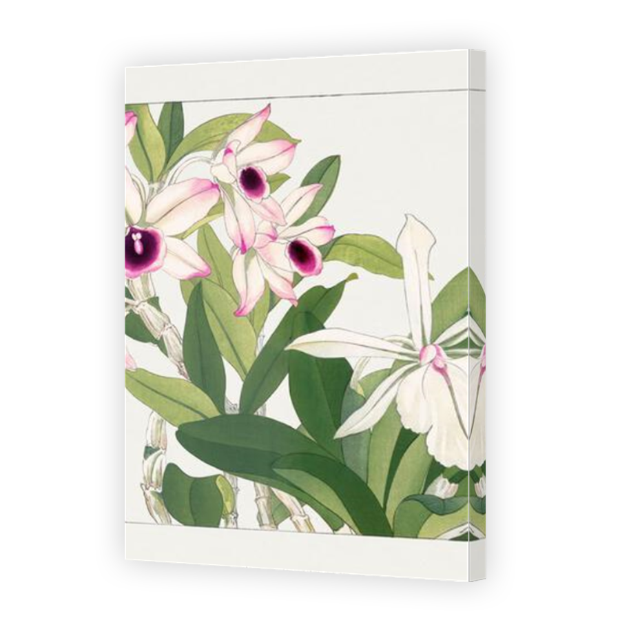 Thumbnail for Canvas - Mirror Image Canvas Wrap