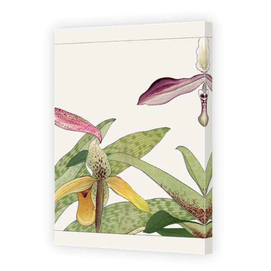 Thumbnail for Canvas - Mirror Image Canvas Wrap