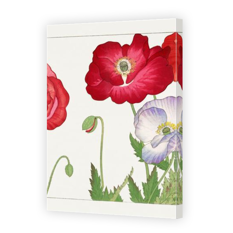 Thumbnail for Canvas - Mirror Image Canvas Wrap