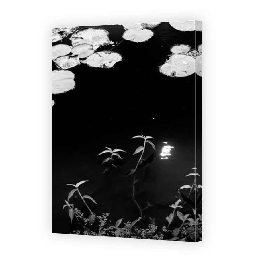 Thumbnail for Canvas - Mirror Image Canvas Wrap