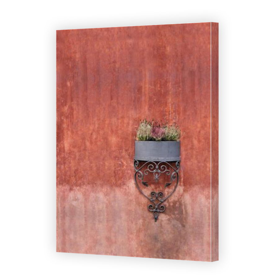 Thumbnail for Canvas - Mirror Image Canvas Wrap