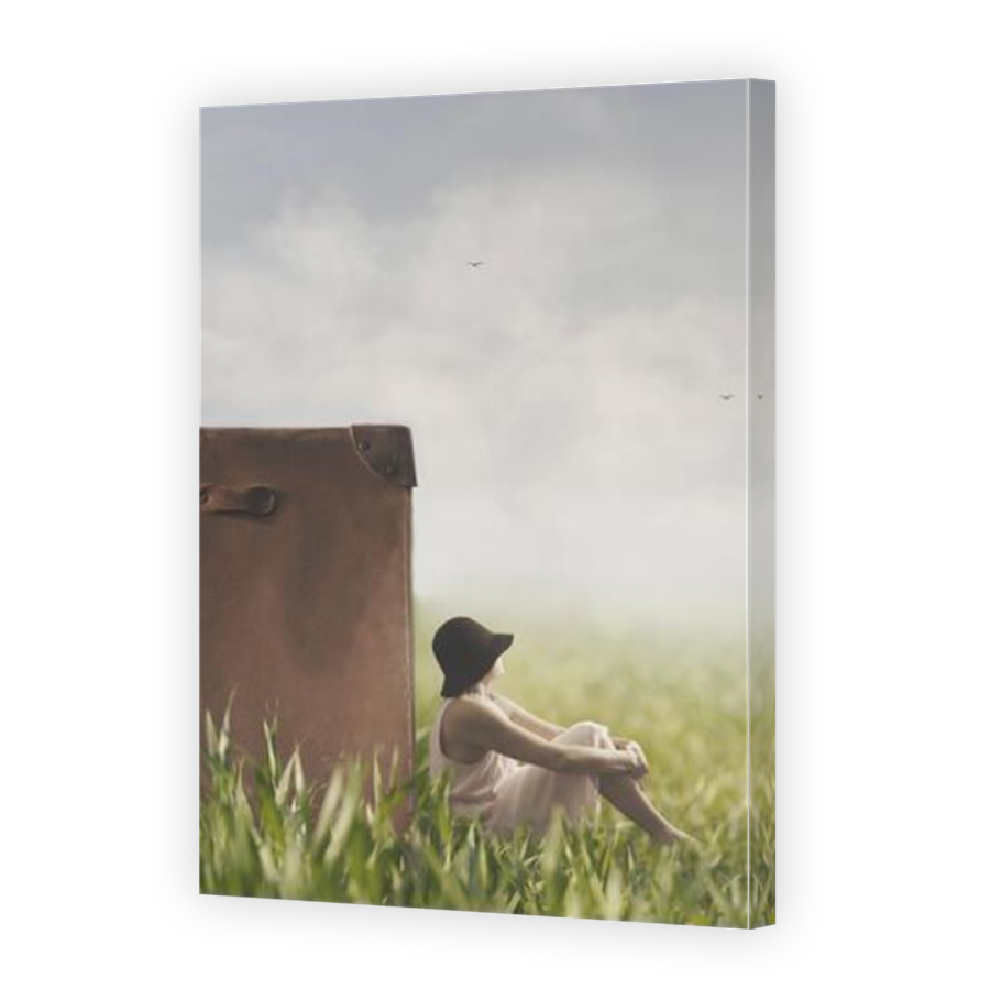Thumbnail for Canvas - Mirror Image Canvas Wrap