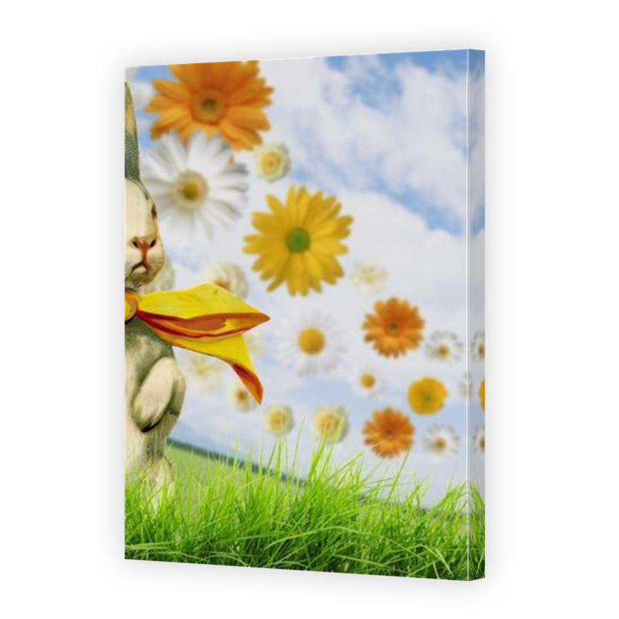 Thumbnail for Canvas - Mirror Image Canvas Wrap