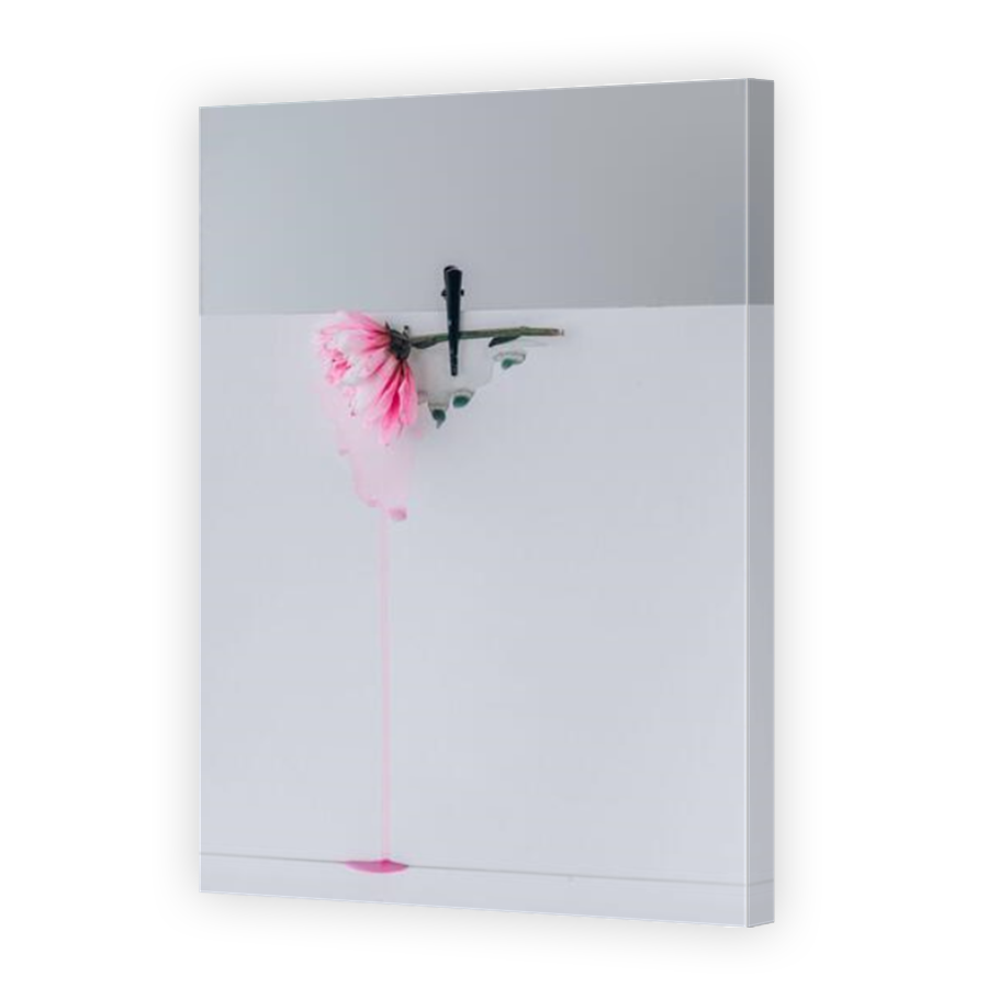 Thumbnail for Canvas - Mirror Image Canvas Wrap