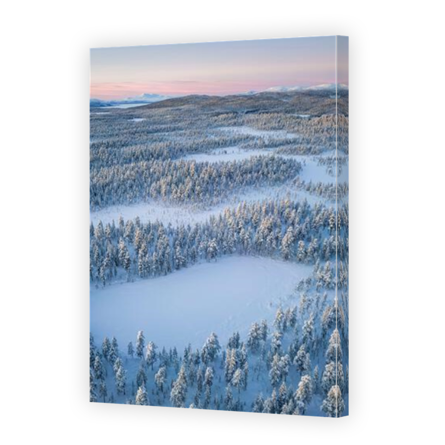 Thumbnail for Canvas - Mirror Image Canvas Wrap