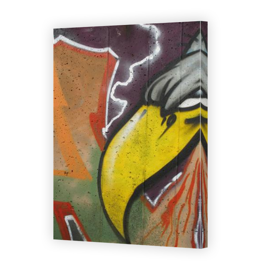 Thumbnail for Canvas - Mirror Image Canvas Wrap