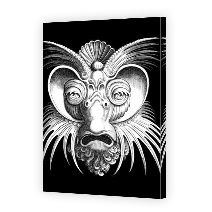 Thumbnail for Canvas - Mirror Image Canvas Wrap