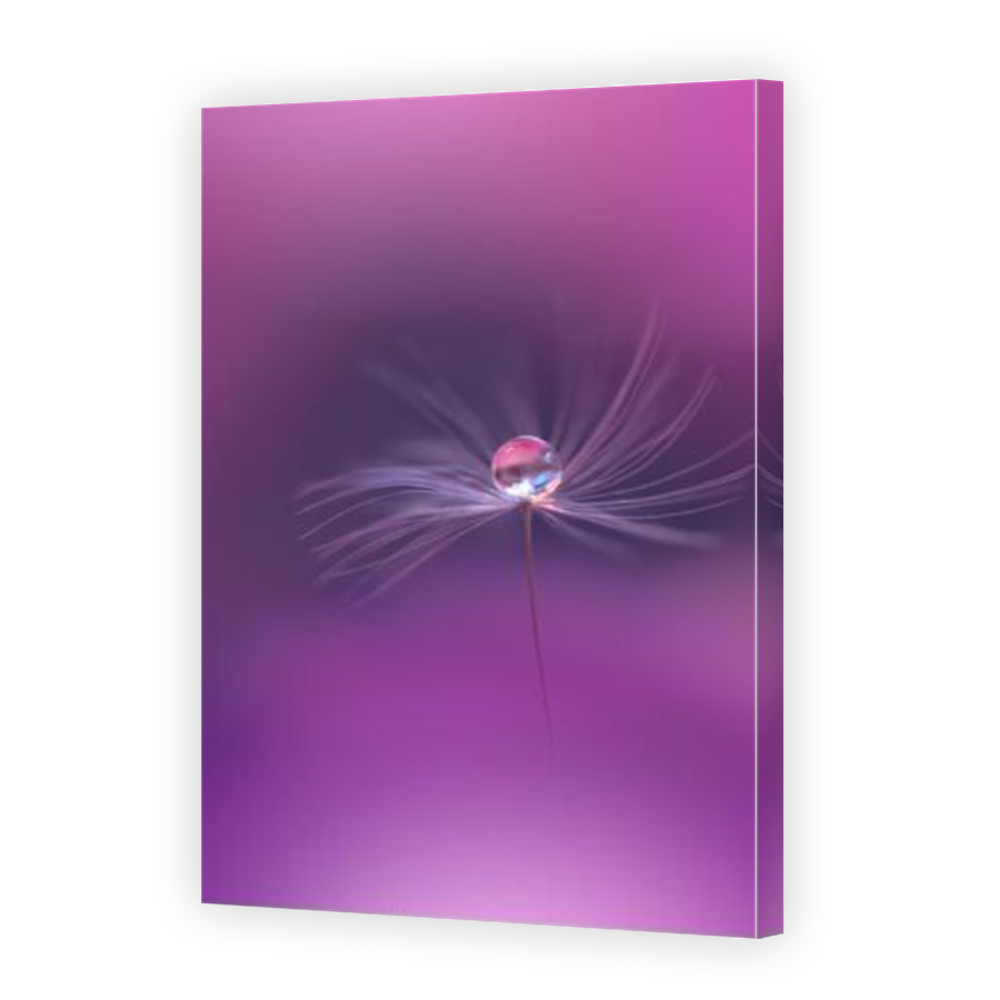 Thumbnail for Canvas - Mirror Image Canvas Wrap