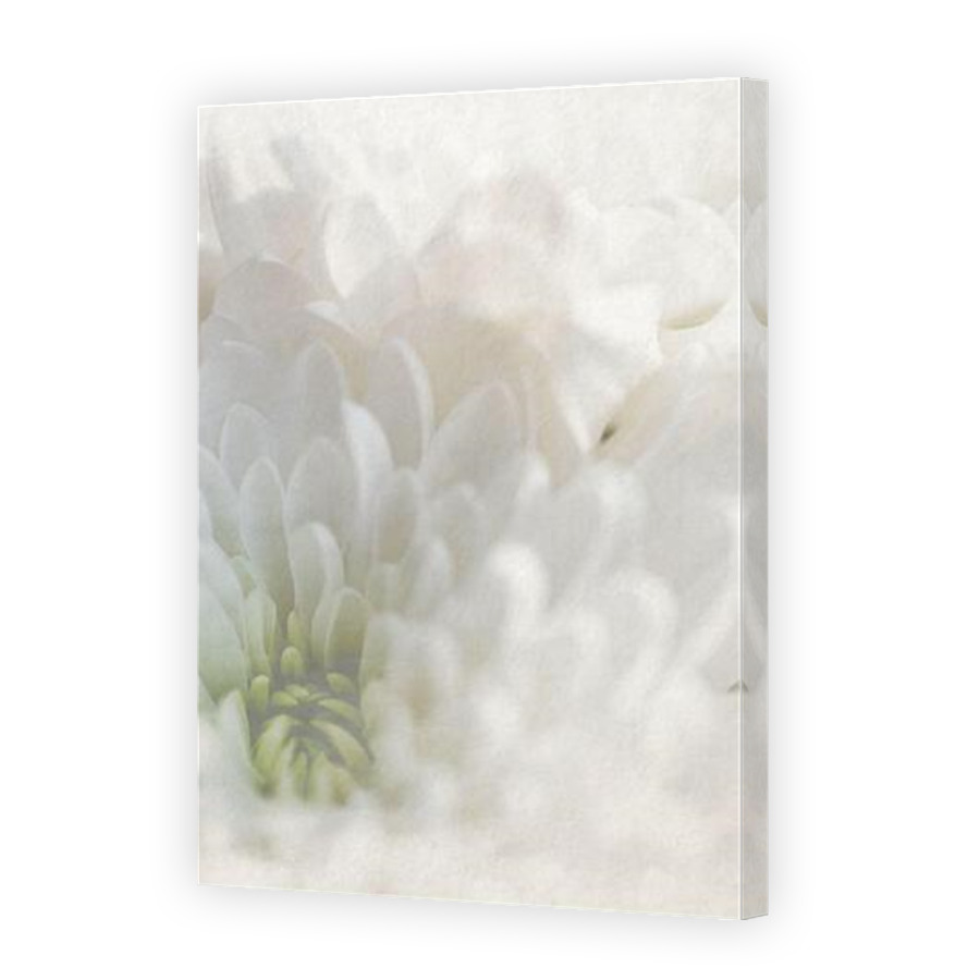 Thumbnail for Canvas - Mirror Image Canvas Wrap