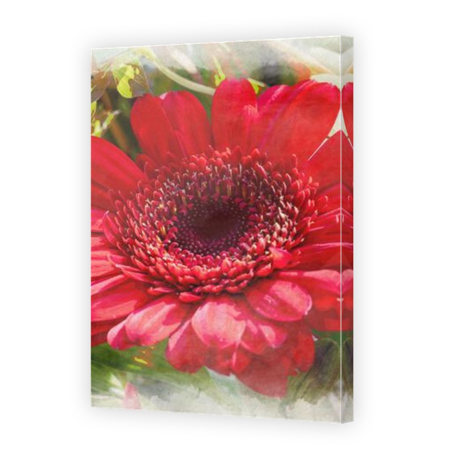 Thumbnail for Canvas - Mirror Image Canvas Wrap