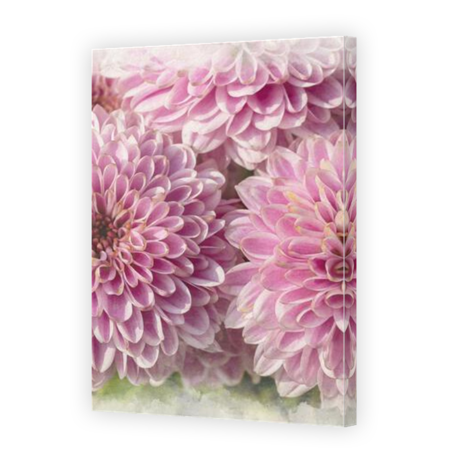Thumbnail for Canvas - Mirror Image Canvas Wrap