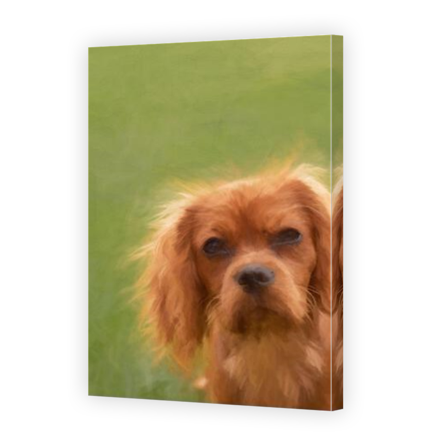 Thumbnail for Canvas - Mirror Image Canvas Wrap