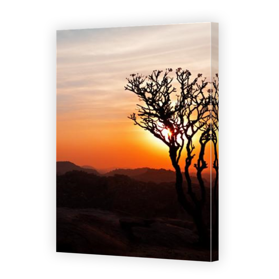 Thumbnail for Canvas - Mirror Image Canvas Wrap