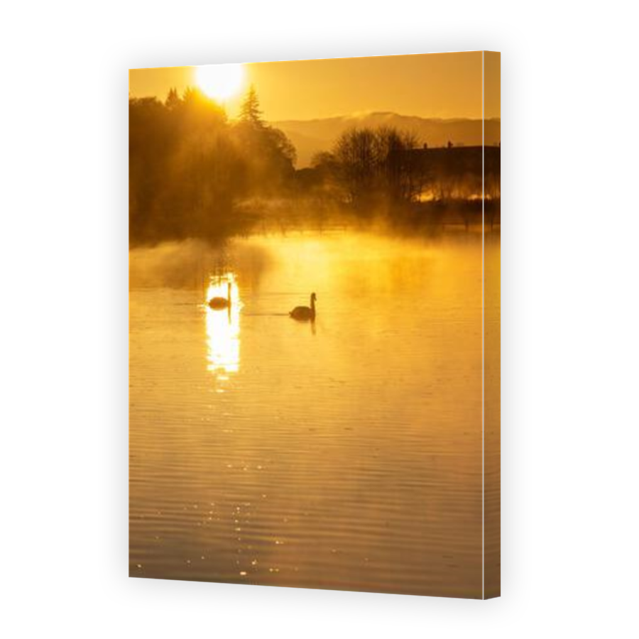 Thumbnail for Canvas - Mirror Image Canvas Wrap