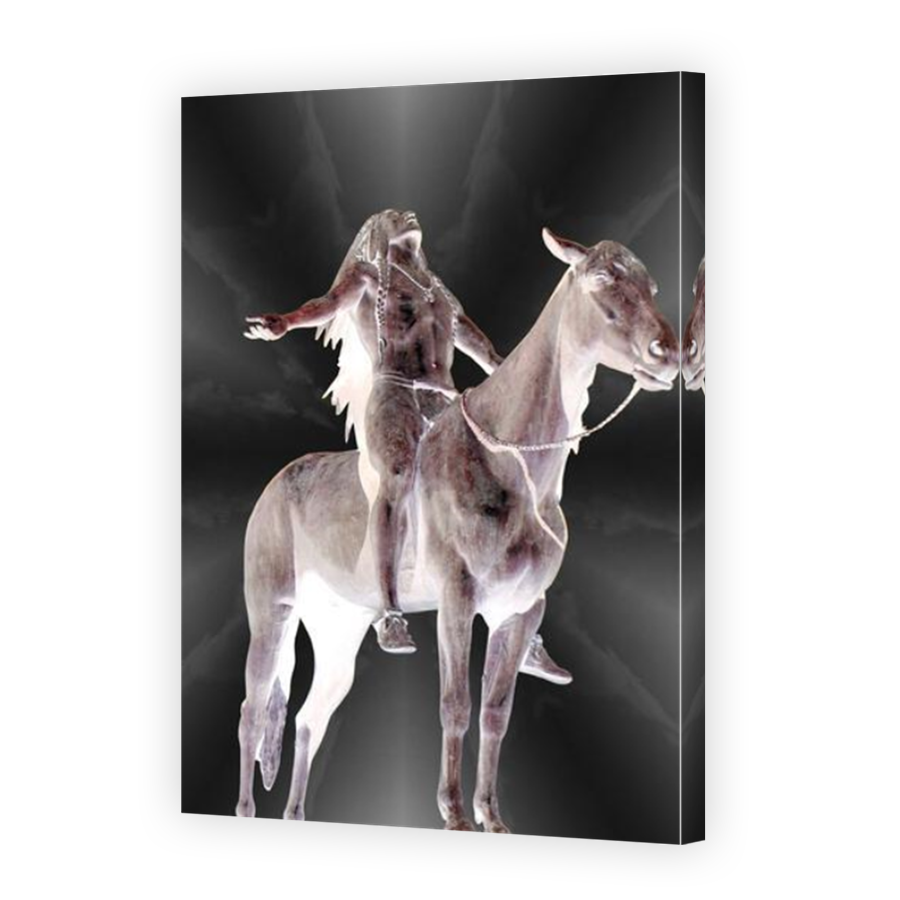 Thumbnail for Canvas - Mirror Image Canvas Wrap