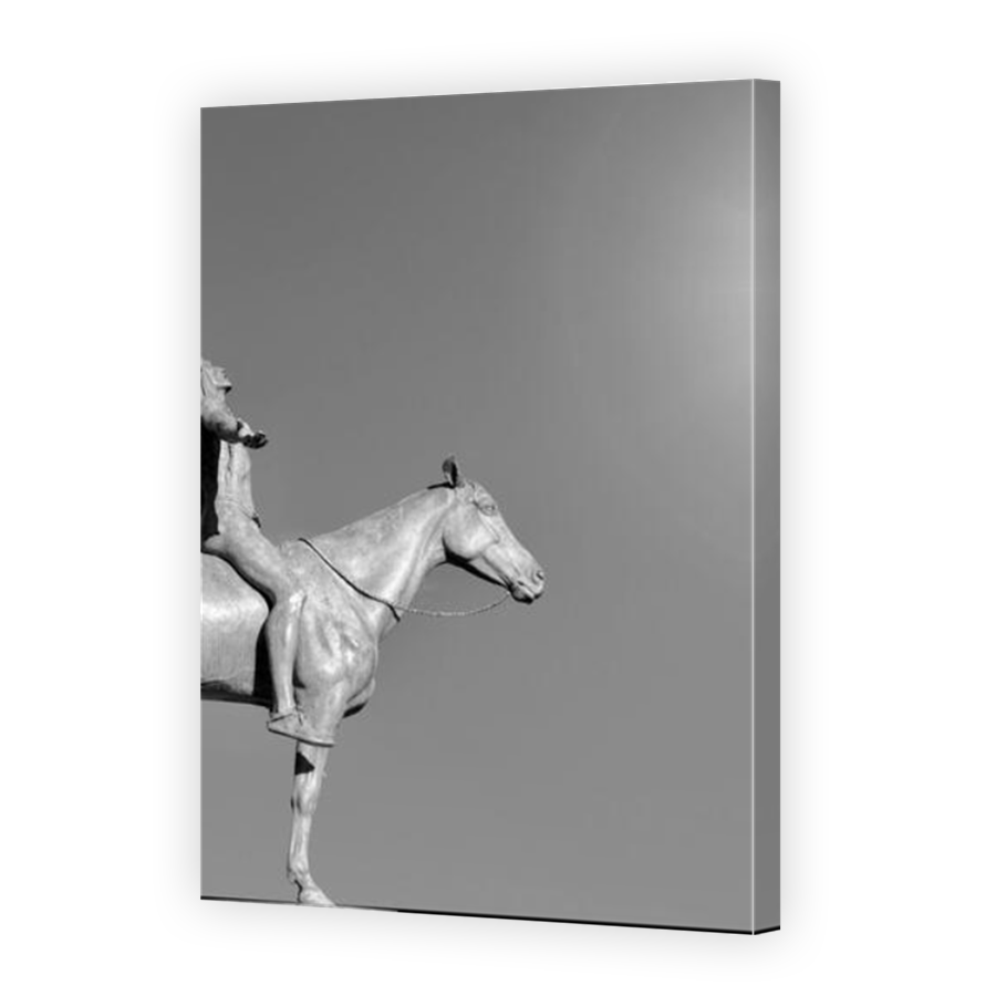 Thumbnail for Canvas - Mirror Image Canvas Wrap