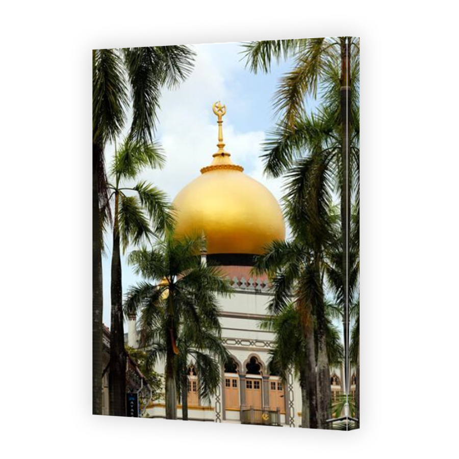 Thumbnail for Canvas - Mirror Image Canvas Wrap