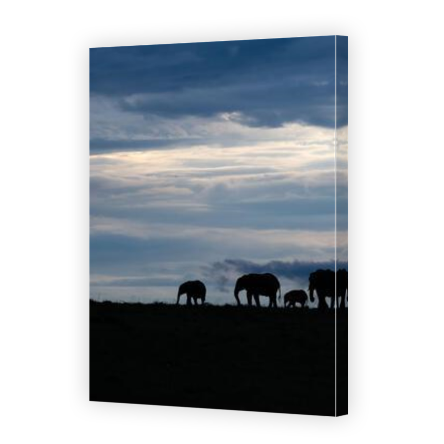 Thumbnail for Canvas - Mirror Image Canvas Wrap