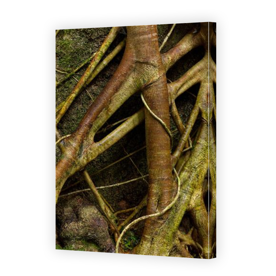 Thumbnail for Canvas - Mirror Image Canvas Wrap