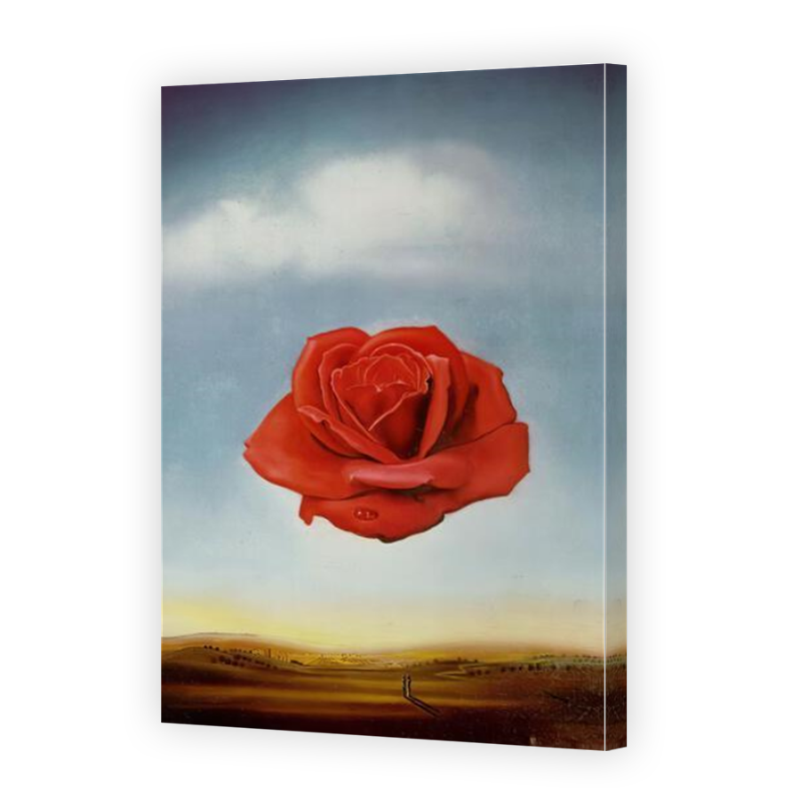 Thumbnail for Canvas - Mirror Image Canvas Wrap