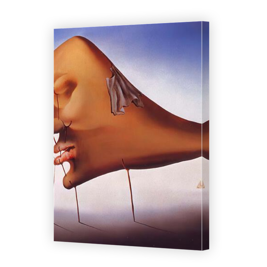 Thumbnail for Canvas - Mirror Image Canvas Wrap