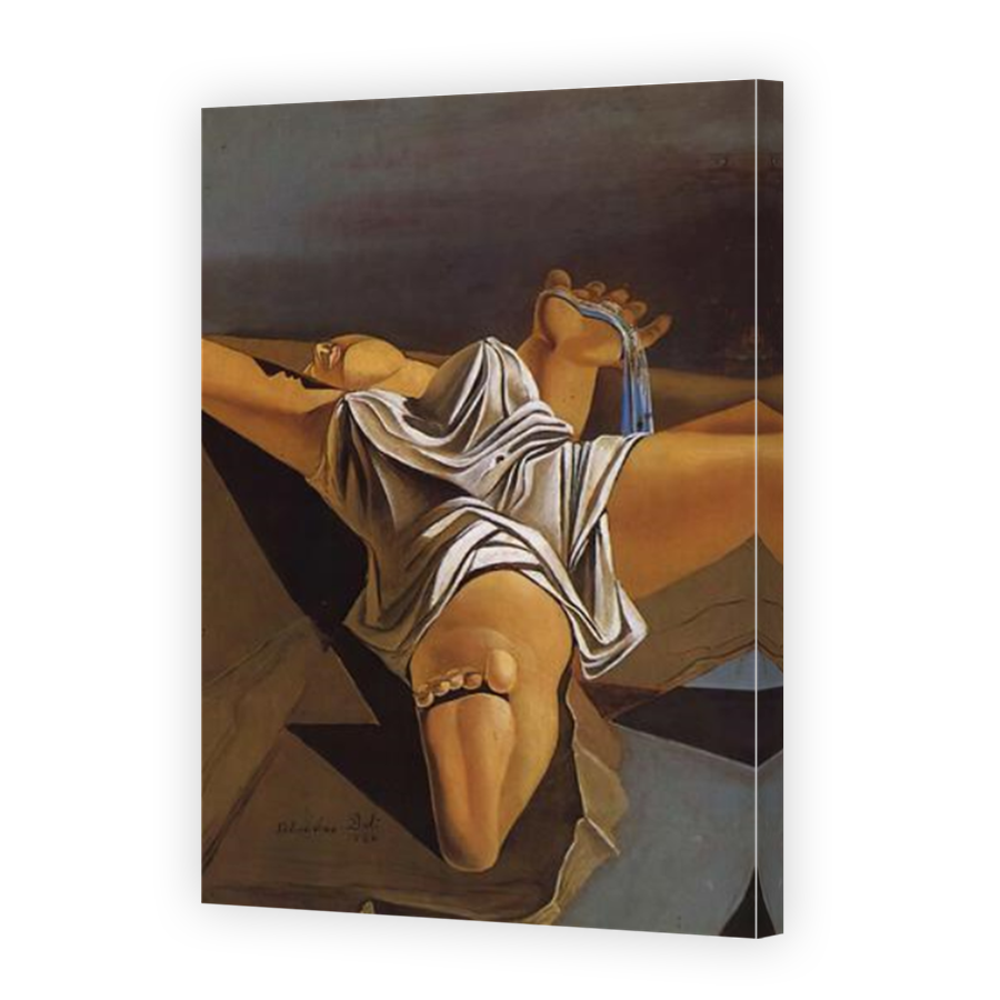 Thumbnail for Canvas - Mirror Image Canvas Wrap